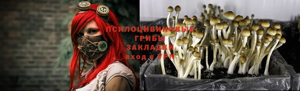 jwh Абинск